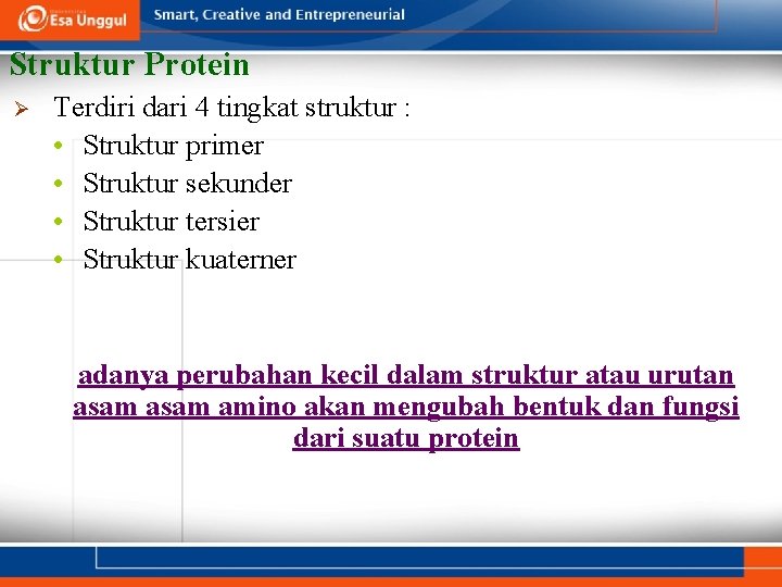 Struktur Protein Ø Terdiri dari 4 tingkat struktur : • Struktur primer • Struktur