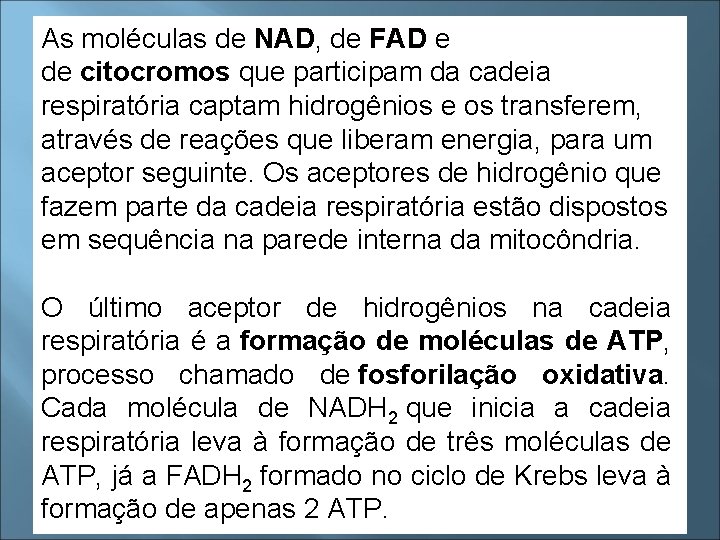 As moléculas de NAD, de FAD e de citocromos que participam da cadeia respiratória