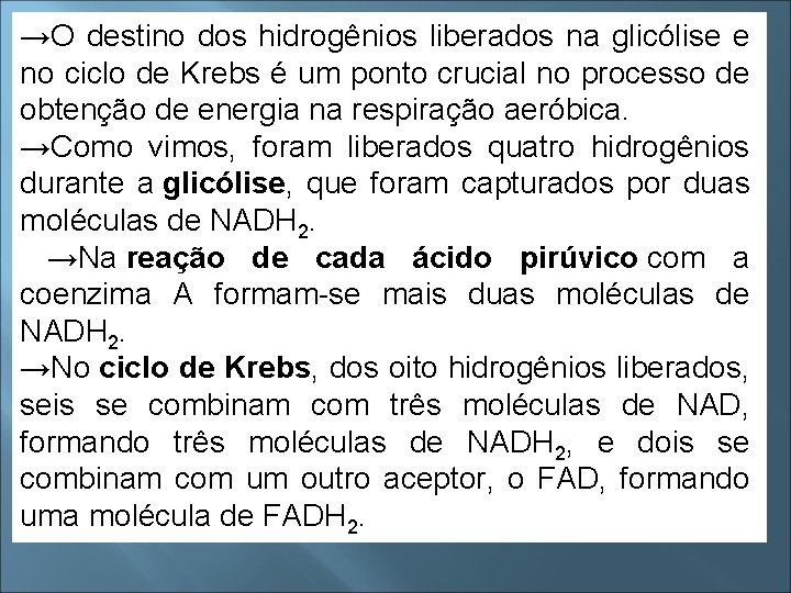 →O destino dos hidrogênios liberados na glicólise e no ciclo de Krebs é um