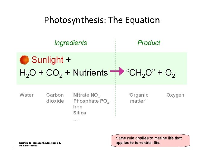 Photosynthesis: The Equation 