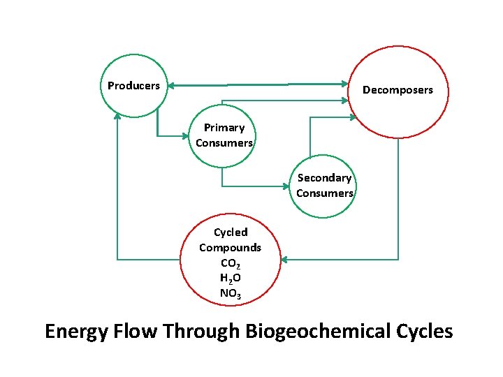 Producers Decomposers Primary Consumers Secondary Consumers Cycled Compounds CO 2 H 2 O NO