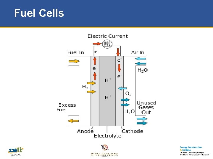 Fuel Cells 