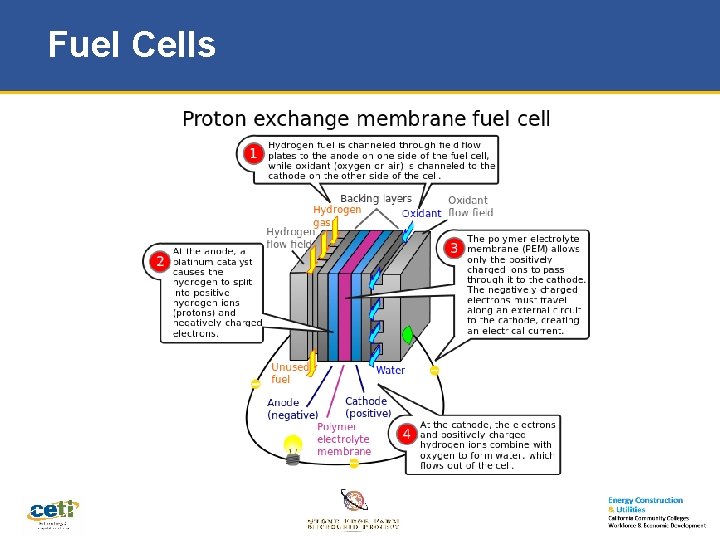 Fuel Cells 