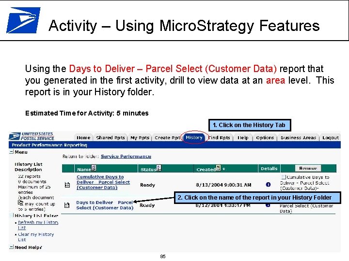 Activity – Using Micro. Strategy Features Using the Days to Deliver – Parcel Select