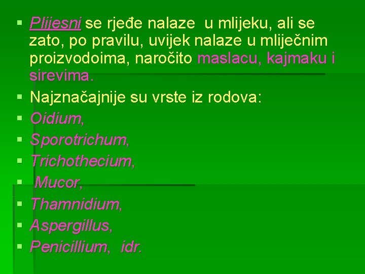 § Plijesni se rjeđe nalaze u mlijeku, ali se zato, po pravilu, uvijek nalaze