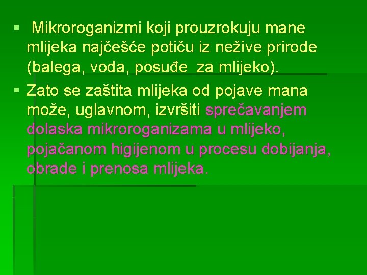 § Mikroroganizmi koji prouzrokuju mane mlijeka najčešće potiču iz nežive prirode (balega, voda, posuđe