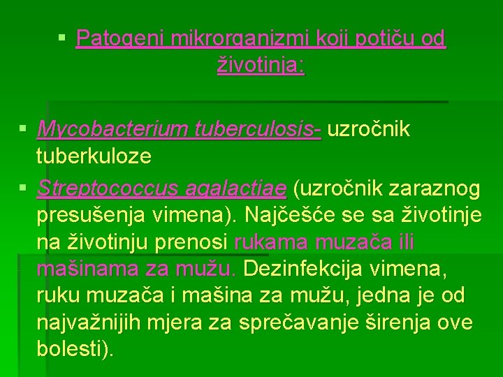§ Patogeni mikrorganizmi koji potiču od životinja: § Mycobacterium tuberculosis- uzročnik tuberkuloze § Streptococcus