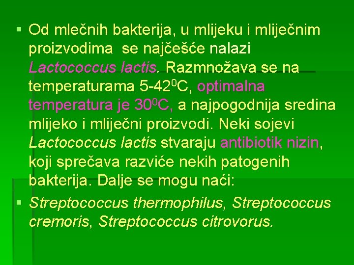 § Od mlečnih bakterija, u mlijeku i mliječnim proizvodima se najčešće nalazi Lactococcus lactis.