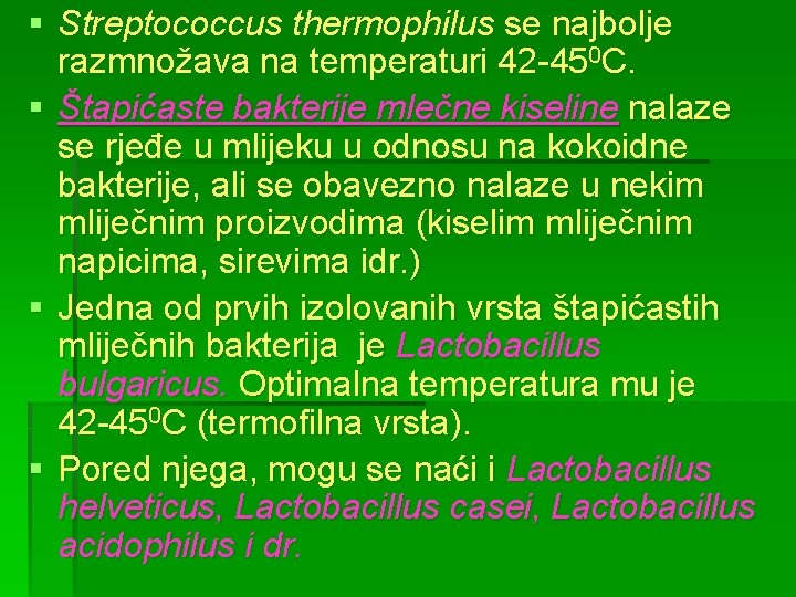 § Streptococcus thermophilus se najbolje razmnožava na temperaturi 42 -450 C. § Štapićaste bakterije