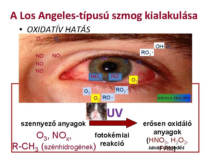 A Los Angeles-típusú szmog kialakulása • OXIDATÍV HATÁS O 3 NO NO NO O