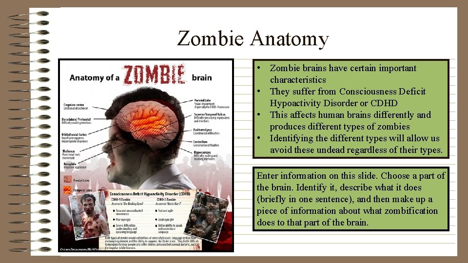 Zombie Anatomy • Zombie brains have certain important characteristics • They suffer from Consciousness