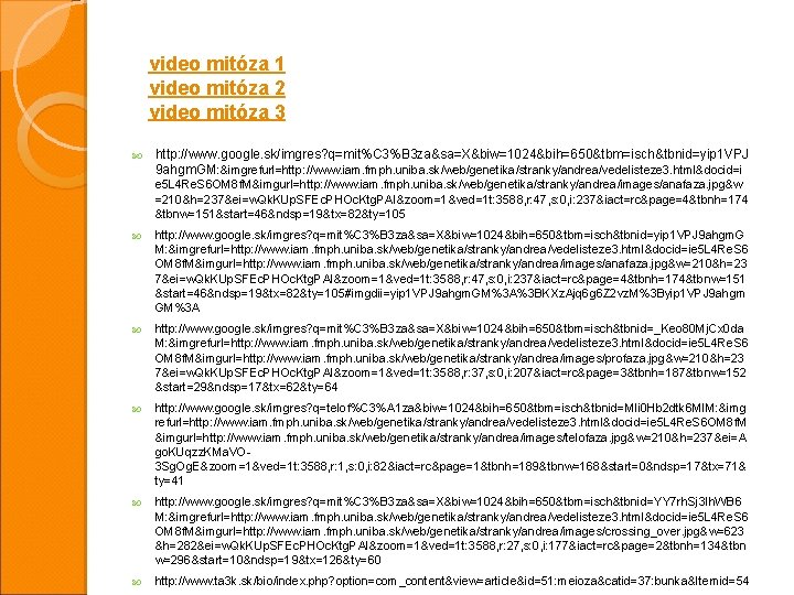 video mitóza 1 video mitóza 2 video mitóza 3 http: //www. google. sk/imgres? q=mit%C