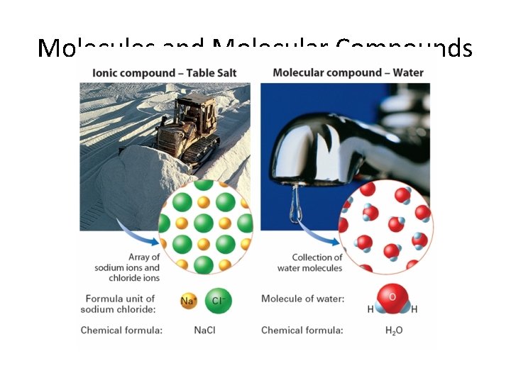 8. 1 Molecules and Molecular Compounds 