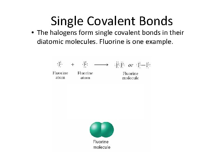 8. 2 Single Covalent Bonds • The halogens form single covalent bonds in their