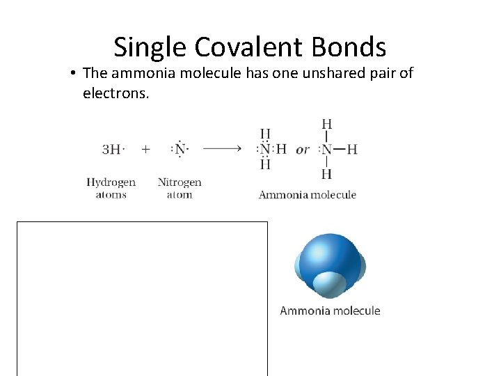 8. 2 Single Covalent Bonds • The ammonia molecule has one unshared pair of