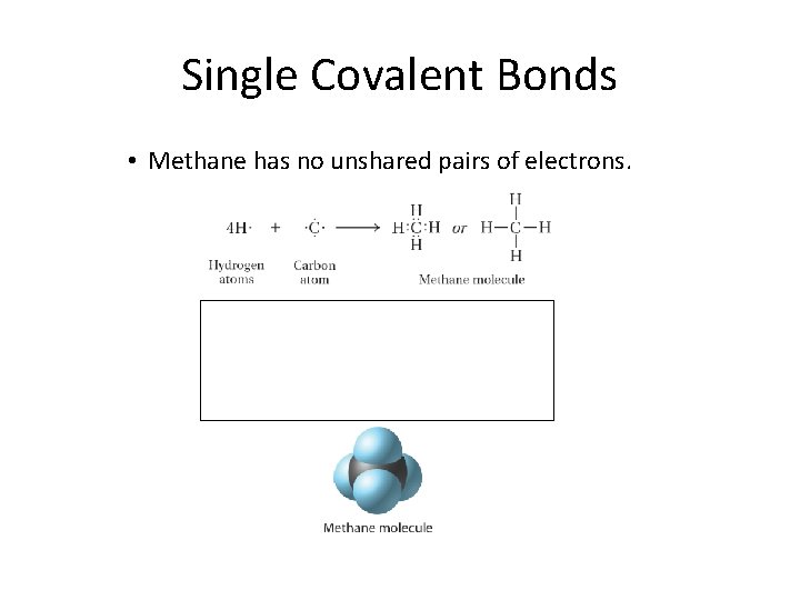 8. 2 Single Covalent Bonds • Methane has no unshared pairs of electrons. 