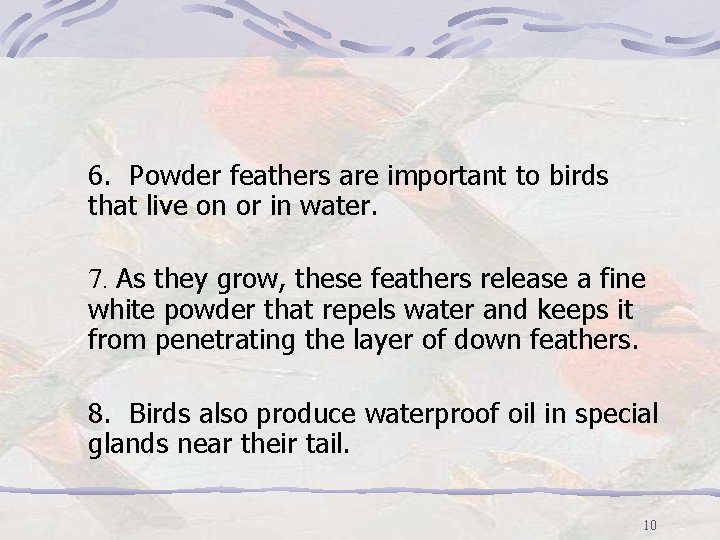 6. Powder feathers are important to birds that live on or in water. 7.