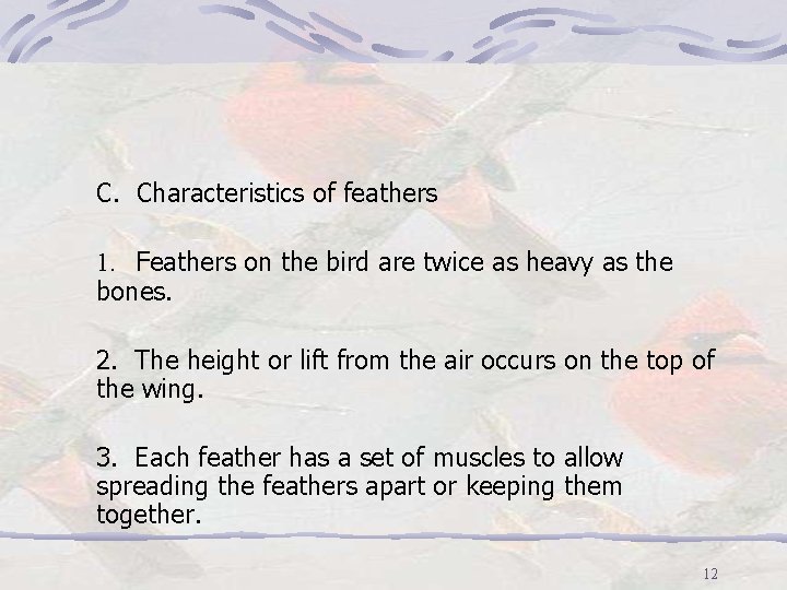 C. Characteristics of feathers 1. Feathers on the bird are twice as heavy as