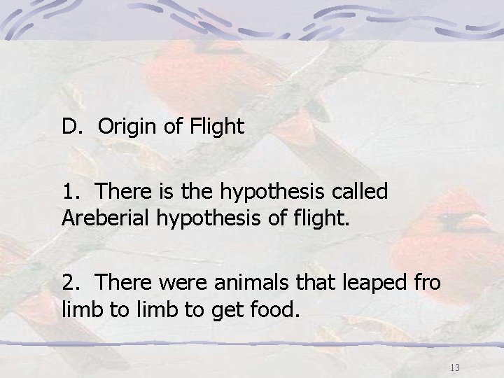 D. Origin of Flight 1. There is the hypothesis called Areberial hypothesis of flight.