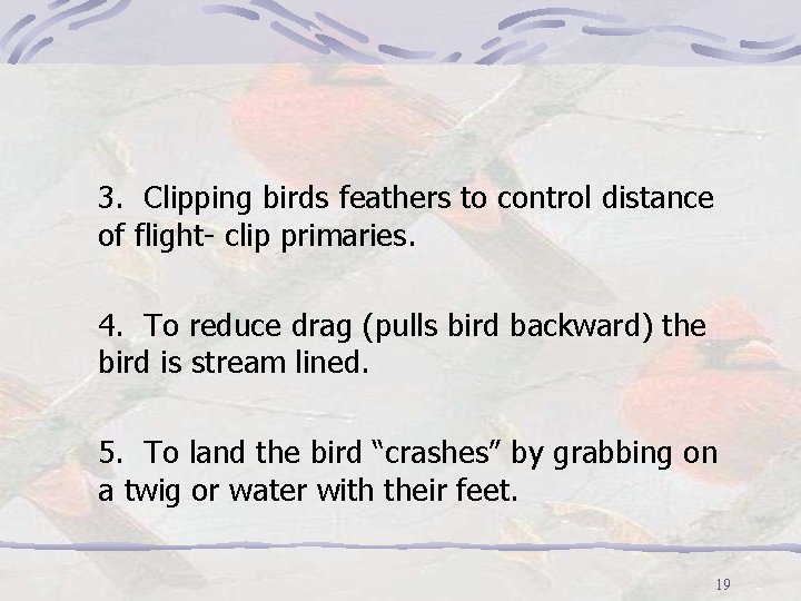 3. Clipping birds feathers to control distance of flight- clip primaries. 4. To reduce