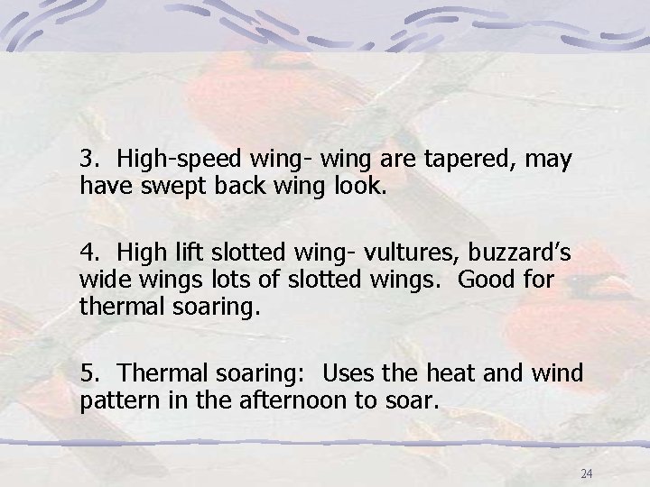 3. High-speed wing- wing are tapered, may have swept back wing look. 4. High