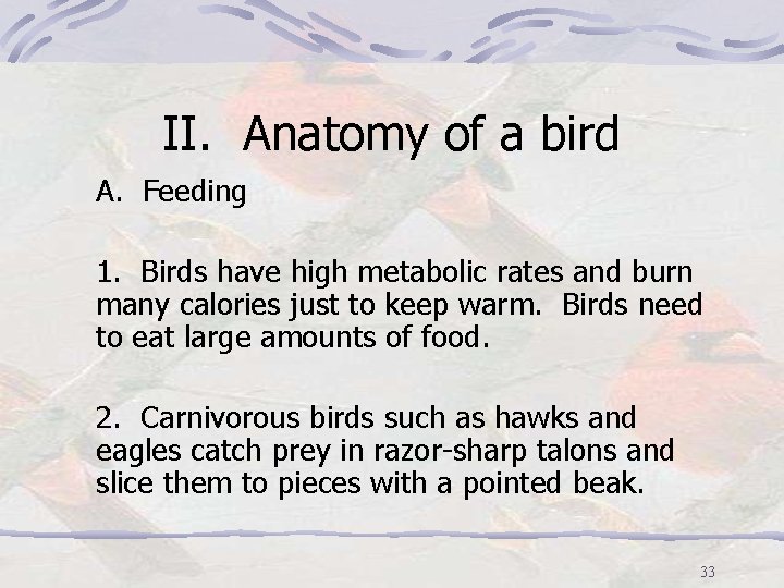 II. Anatomy of a bird A. Feeding 1. Birds have high metabolic rates and