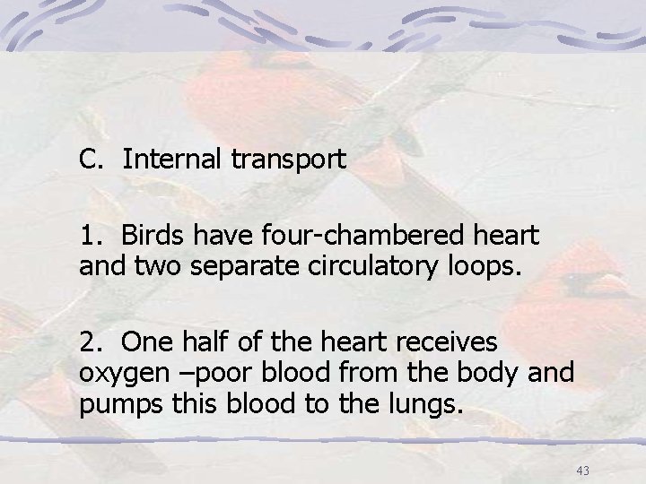 C. Internal transport 1. Birds have four-chambered heart and two separate circulatory loops. 2.