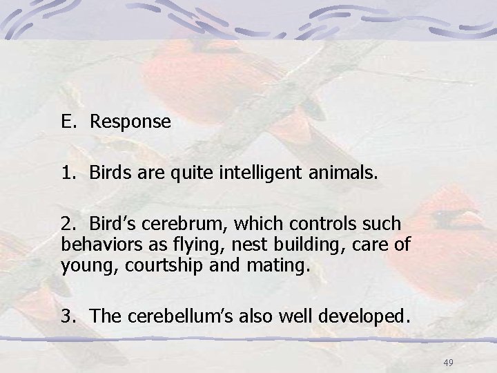 E. Response 1. Birds are quite intelligent animals. 2. Bird’s cerebrum, which controls such