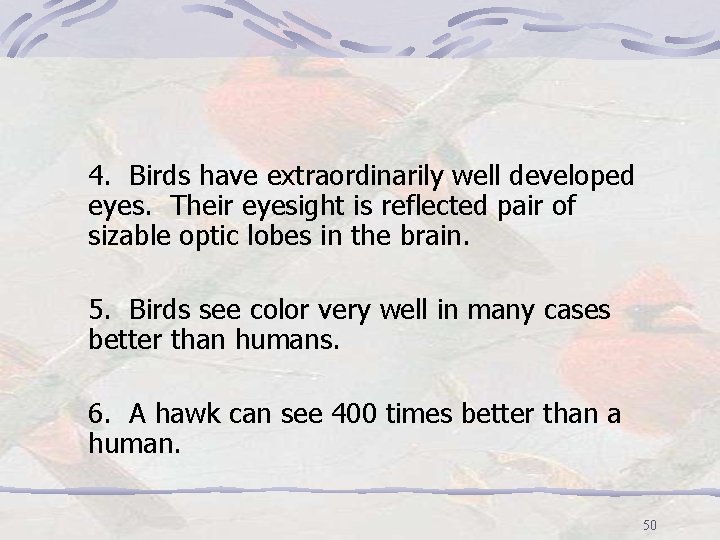 4. Birds have extraordinarily well developed eyes. Their eyesight is reflected pair of sizable