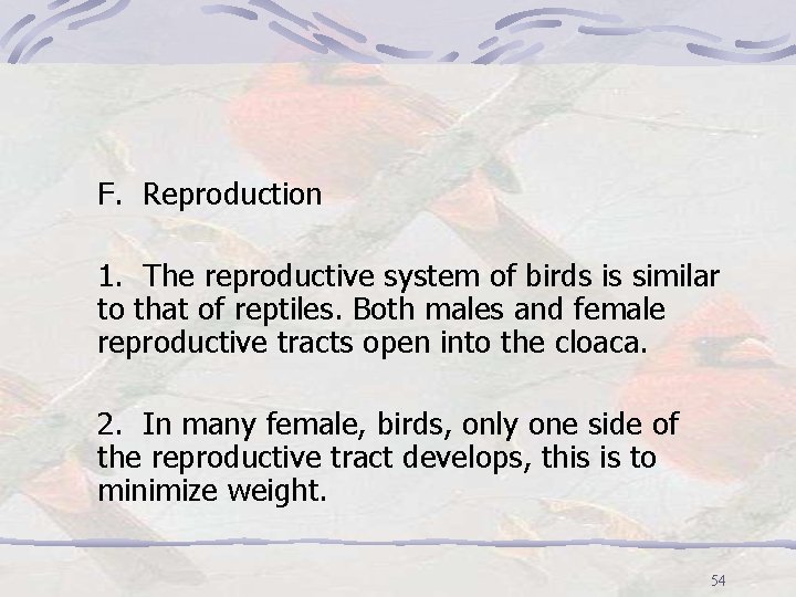 F. Reproduction 1. The reproductive system of birds is similar to that of reptiles.