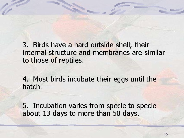 3. Birds have a hard outside shell; their internal structure and membranes are similar