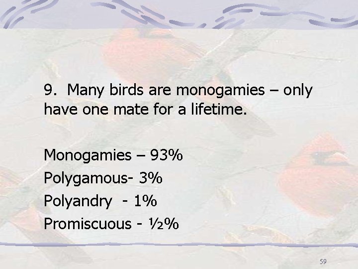 9. Many birds are monogamies – only have one mate for a lifetime. Monogamies