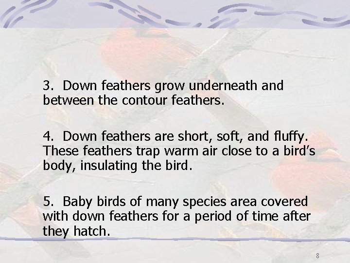 3. Down feathers grow underneath and between the contour feathers. 4. Down feathers are