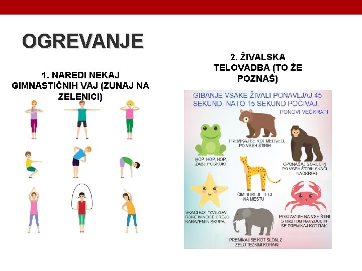 OGREVANJE 1. NAREDI NEKAJ GIMNASTIČNIH VAJ (ZUNAJ NA ZELENICI) 2. ŽIVALSKA TELOVADBA (TO ŽE