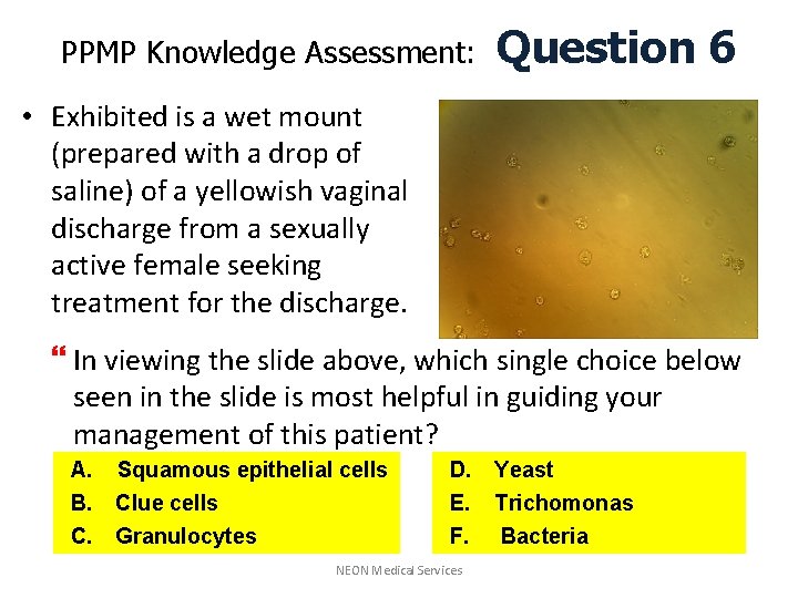 PPMP Knowledge Assessment: Question 6 • Exhibited is a wet mount (prepared with a