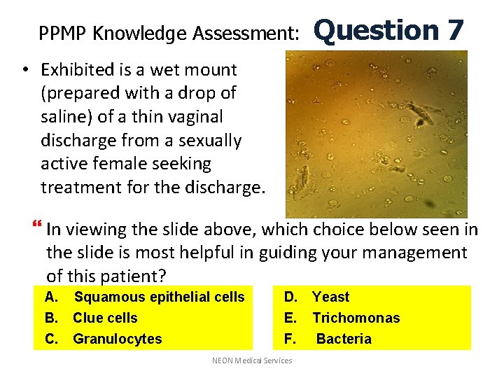 PPMP Knowledge Assessment: Question 7 • Exhibited is a wet mount (prepared with a