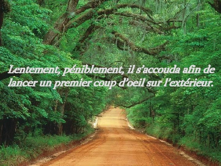 Lentement, péniblement, il s’accouda afin de lancer un premier coup d’oeil sur l’extérieur. 