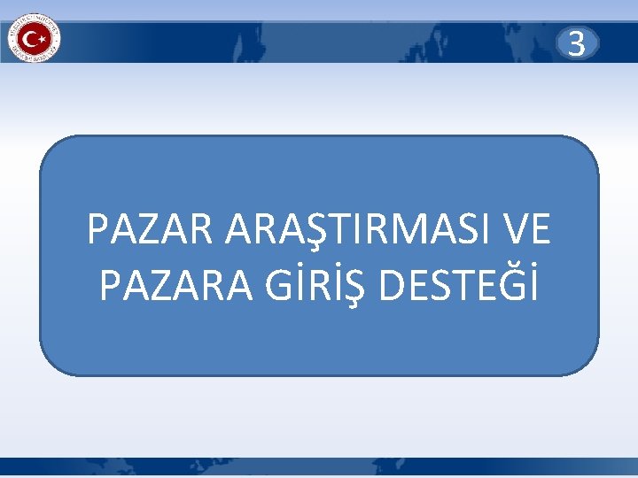 3 PAZAR ARAŞTIRMASI VE PAZARA GİRİŞ DESTEĞİ 