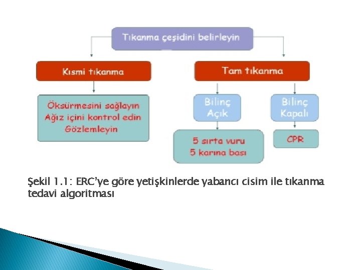 Şekil 1. 1: ERC’ye göre yetişkinlerde yabancı cisim ile tıkanma tedavi algoritması 