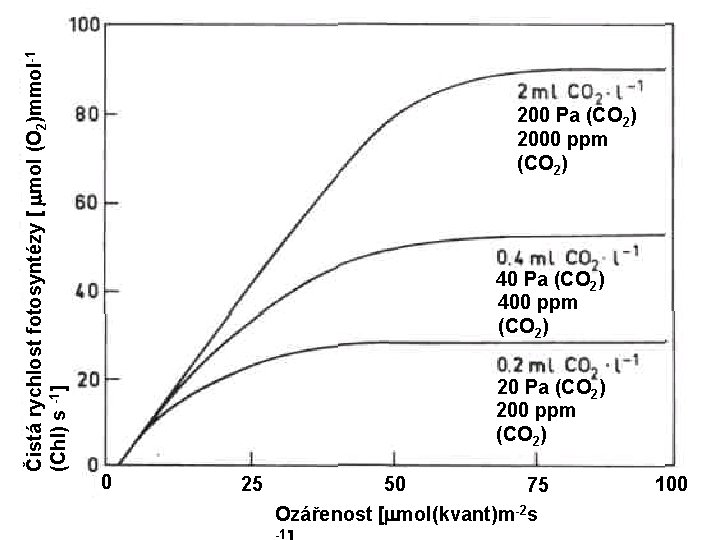 Čistá rychlost fotosyntézy [ mol (O 2)mmol-1 (Chl) s -1] 200 Pa (CO 2)