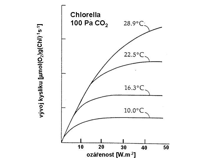 -1 -1 vývoj kyslíku [ mol(O 2)g(Chl) s ] 40 Chlorella 100 Pa CO