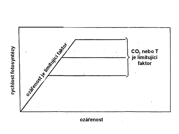 os en oz ář e tj r to íf ak itu jíc lim rychlost