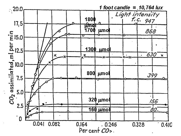 1 foot candle = 10, 764 lux 1800 mol 1700 mol 1300 mol 800