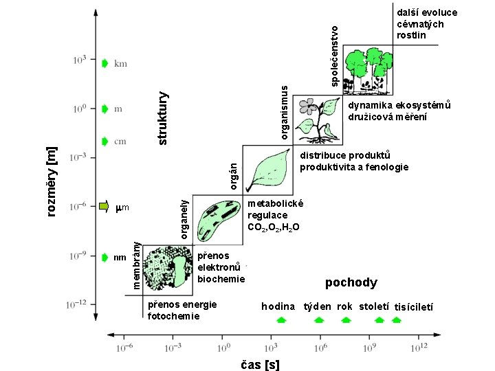 společenstvo organismus struktury dynamika ekosystémů družicová měření distribuce produktů produktivita a fenologie orgán nm