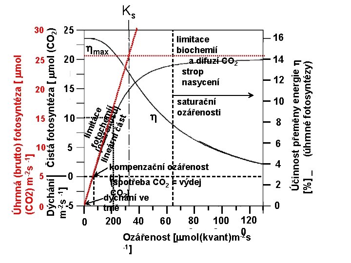 15 15 10 10 5 5 0 h limitace biochemií a difuzí CO 2