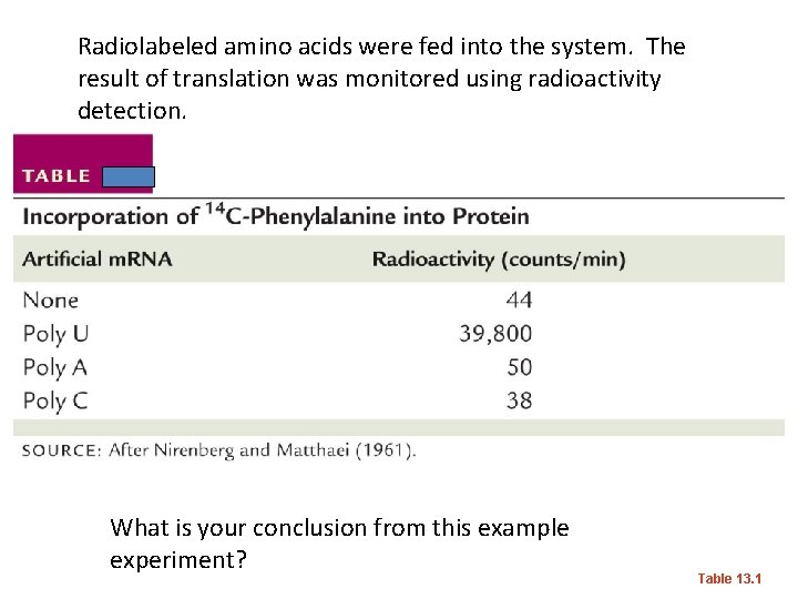 Radiolabeled amino acids were fed into the system. The result of translation was monitored