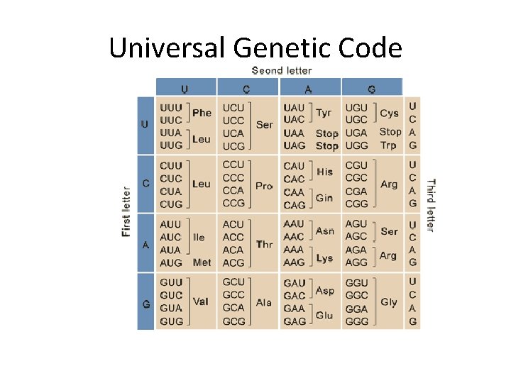 Universal Genetic Code 