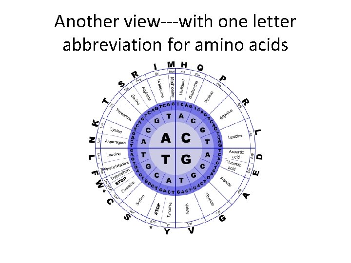 Another view---with one letter abbreviation for amino acids 