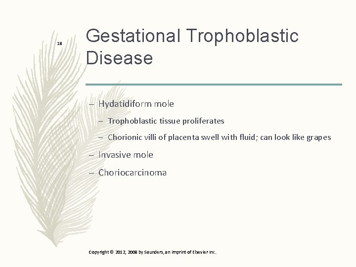 18 Gestational Trophoblastic Disease – Hydatidiform mole – Trophoblastic tissue proliferates – Chorionic villi