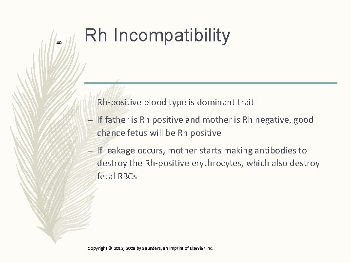 40 Rh Incompatibility – Rh-positive blood type is dominant trait – If father is